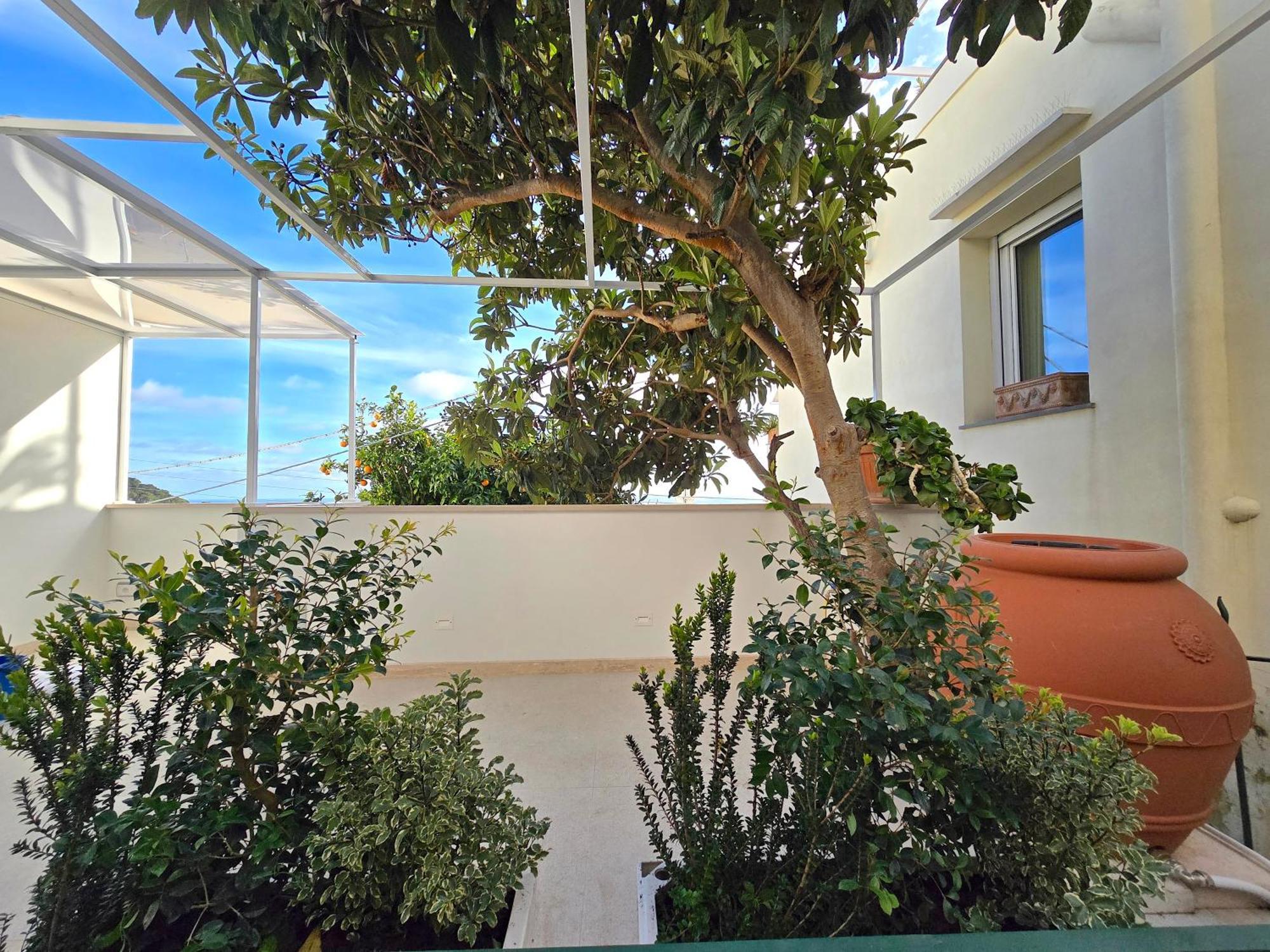 Sopramonte Exclusive Rooms Capri Buitenkant foto